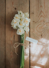 Narcis - Sir Winston Churchill