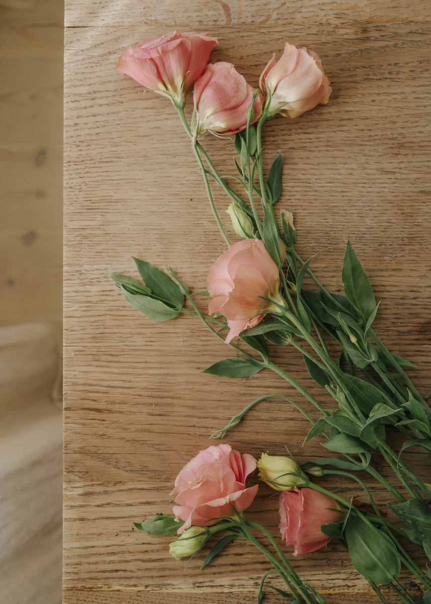 Lisianthus - Arena Apricot