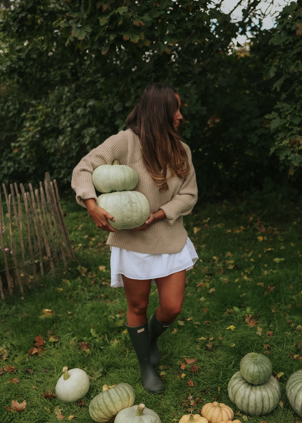 Pumpkin - Blue de Hungarian