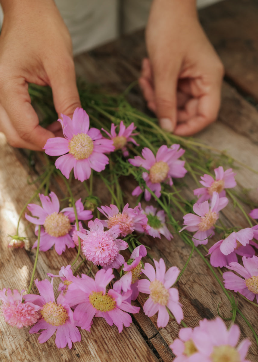 Schmuckkörbchen - Pink Popsocks