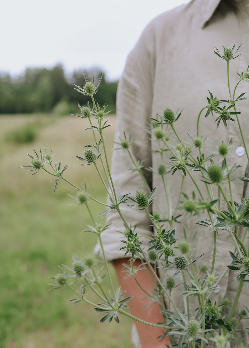 Sea Holly - White Glitter