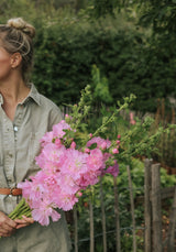 Stokrose - Spring Celebrities Pink