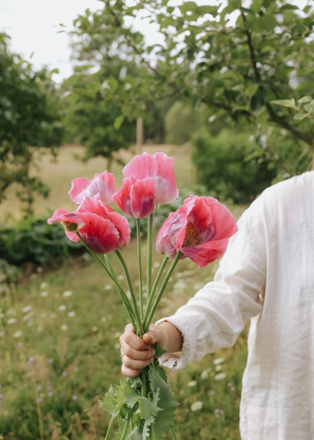 Mohnblume - Bowling Ball