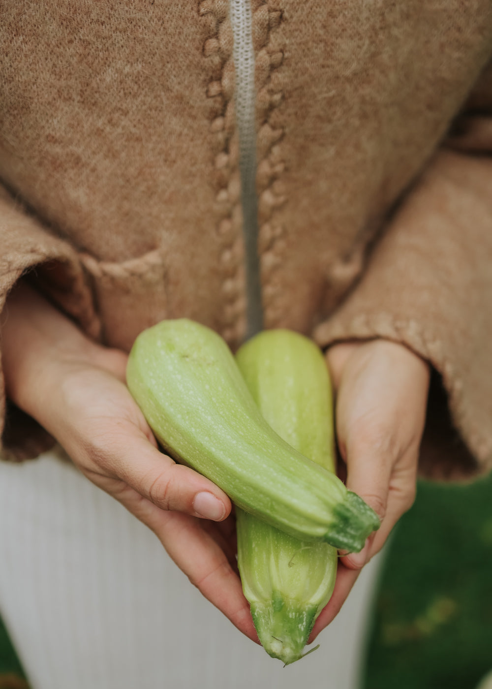 Zucchini - Bianca di trieste