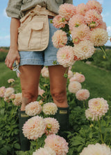 Dahlia - Staburadze