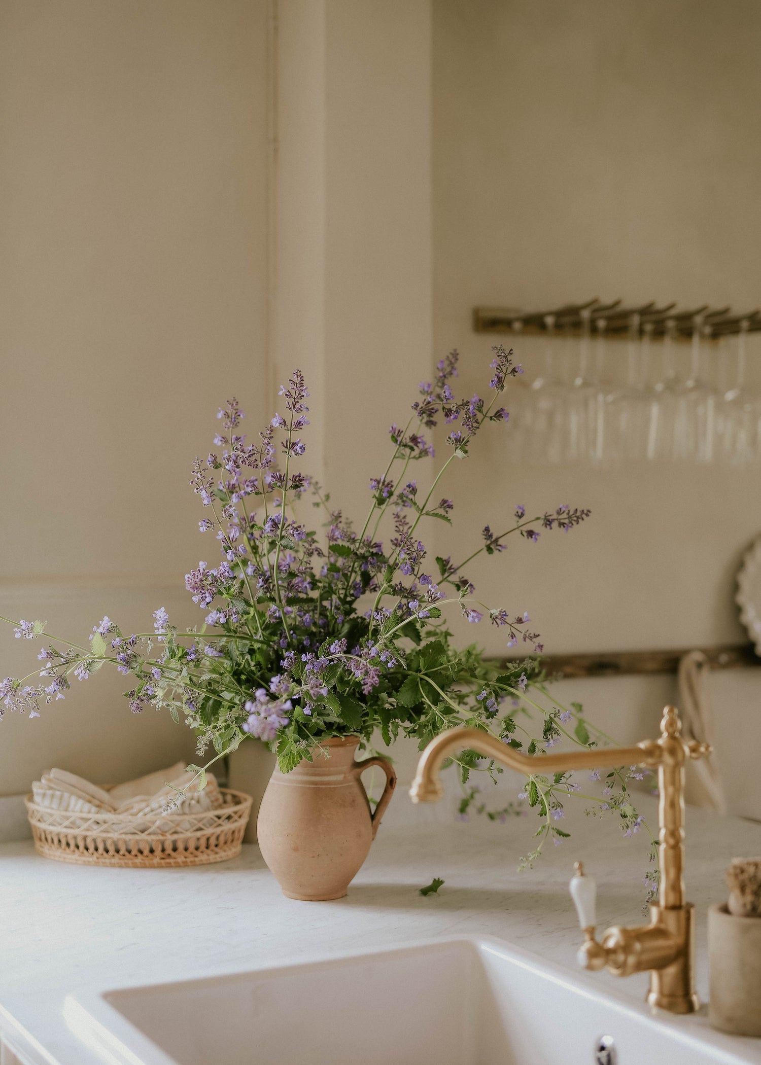 Catmint