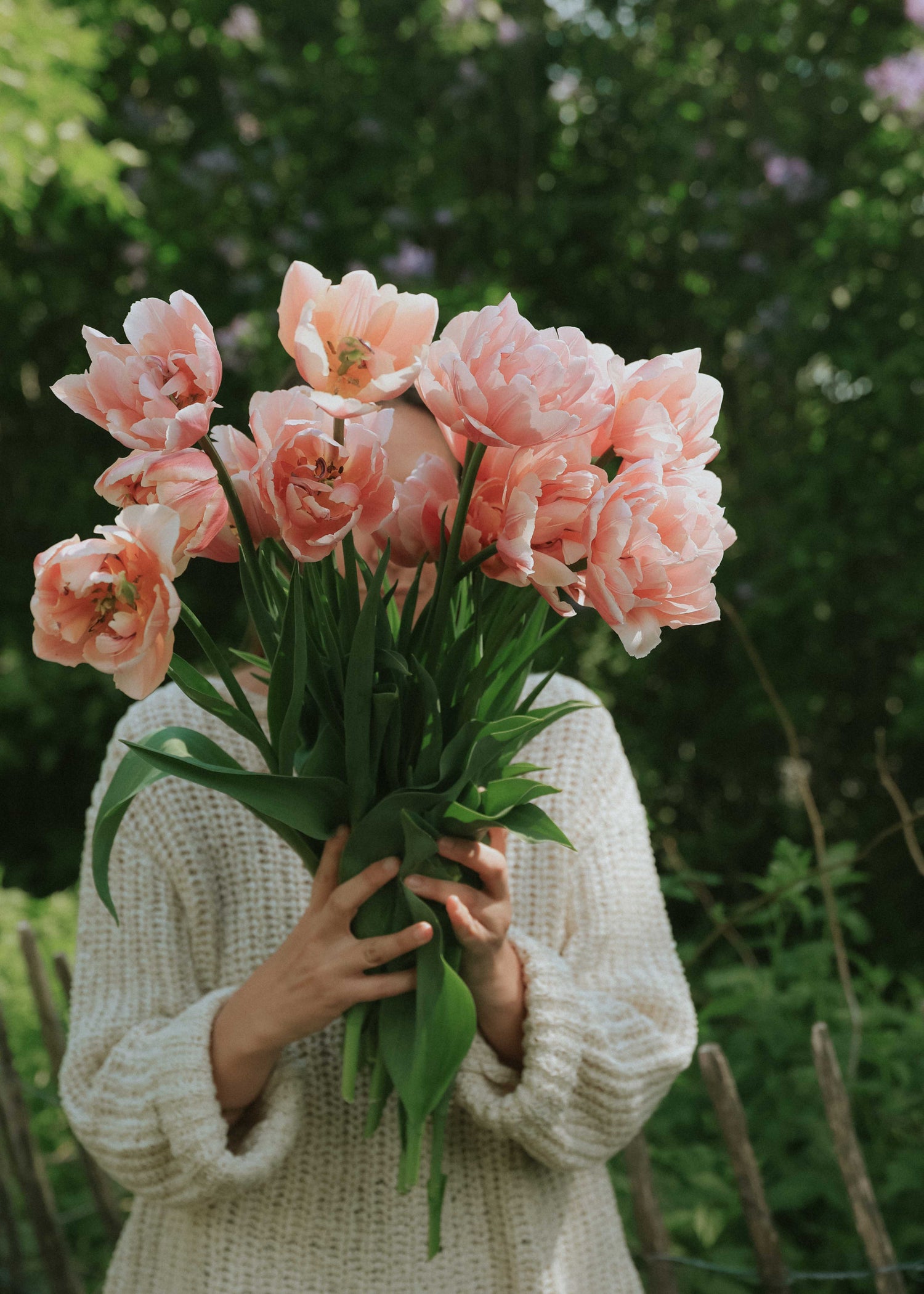 Tulpe - Pink Art