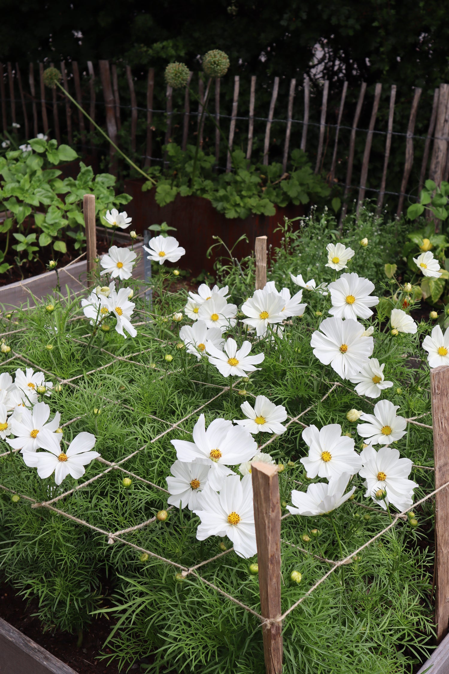 Snittblomsnät 120 x 80 cm