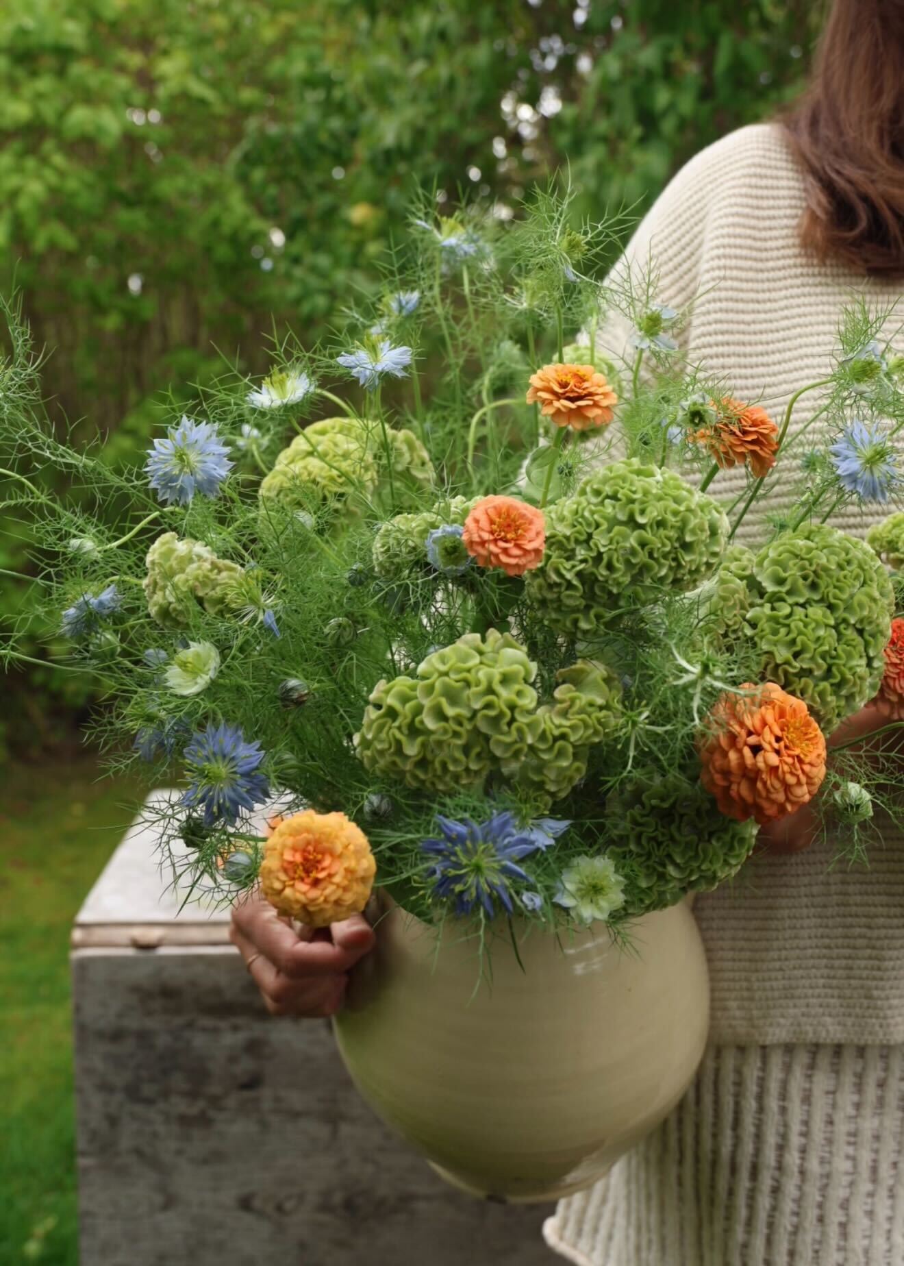 Celosia - Spring Green