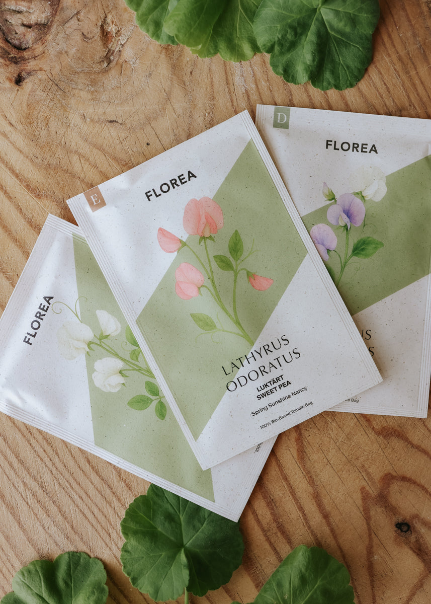 Fröpaket - Luktärtsbonanza