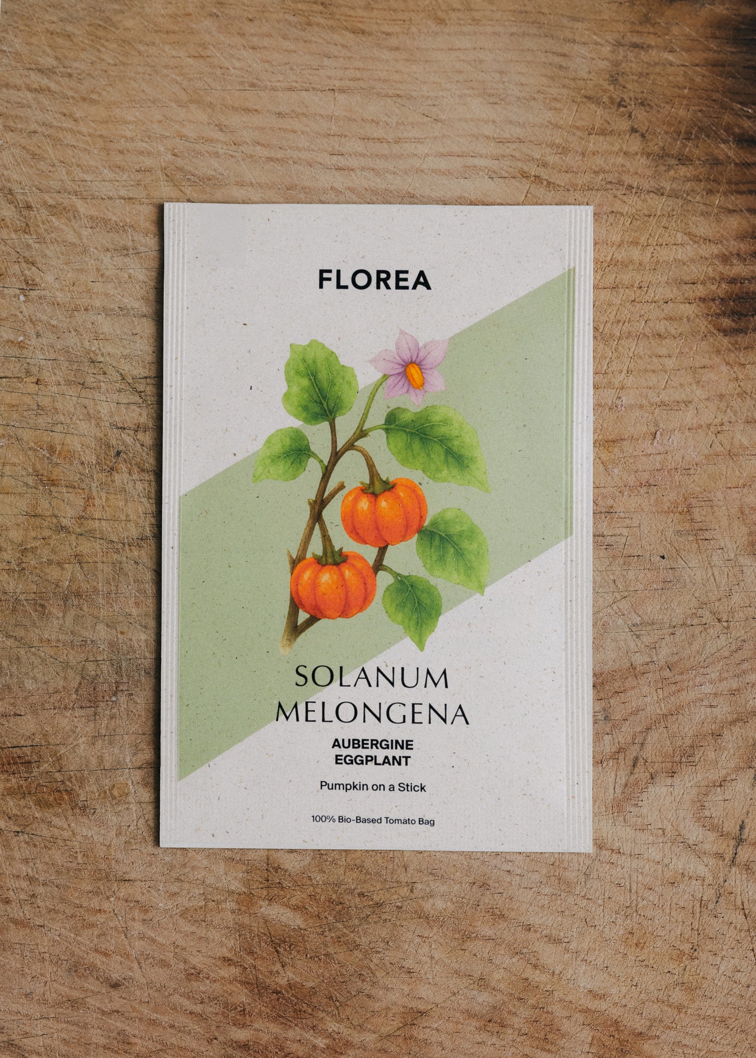 Aubergine - Pumpkin on a stick