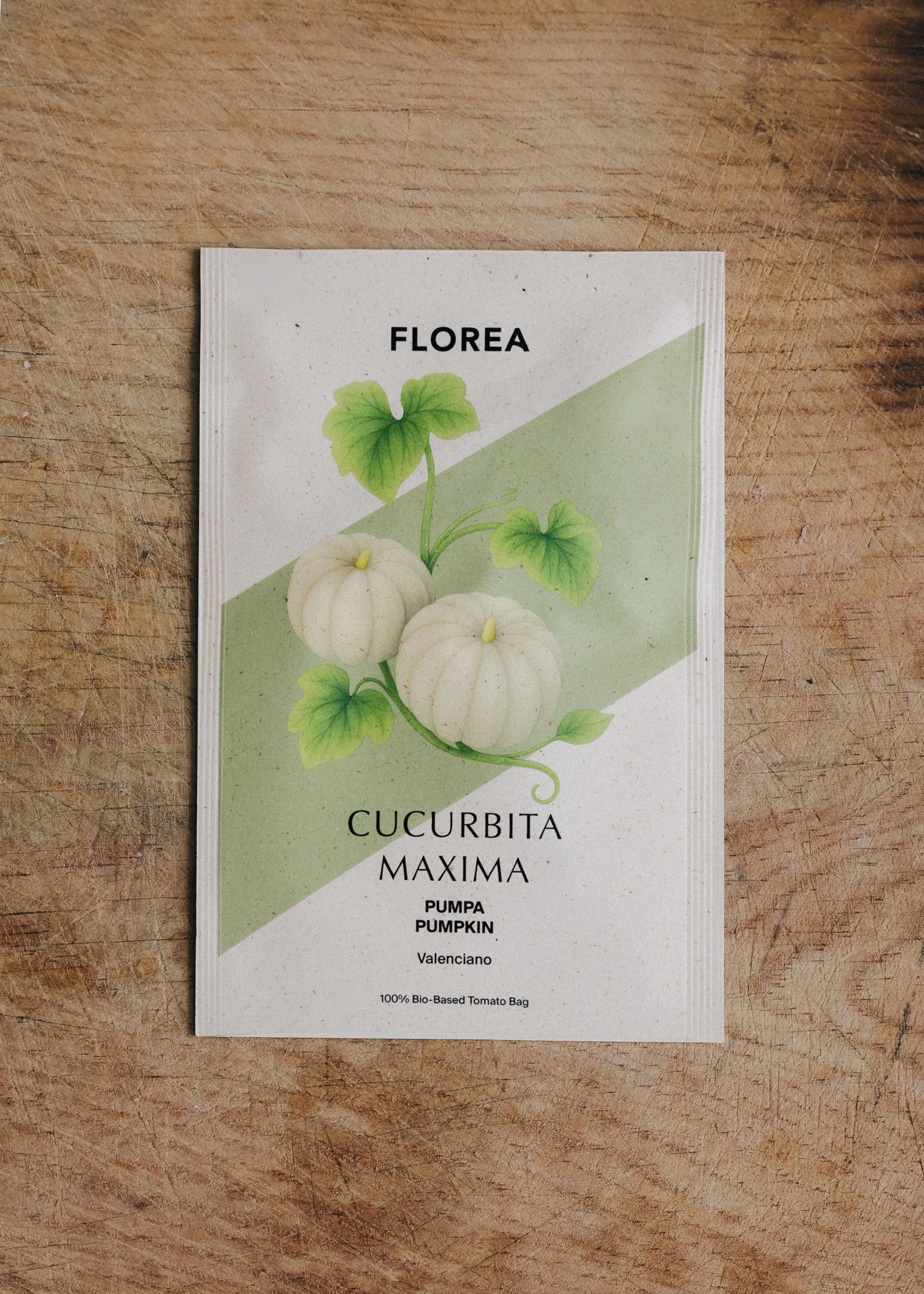 Pumpkin - Valenciano