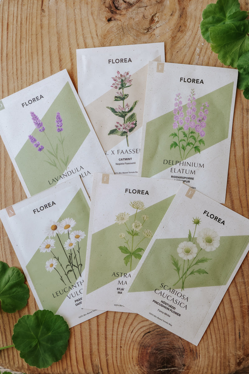 Fröpaket - Perennrabatten