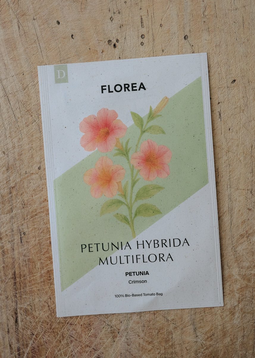 Petunia - Pastel Crimson