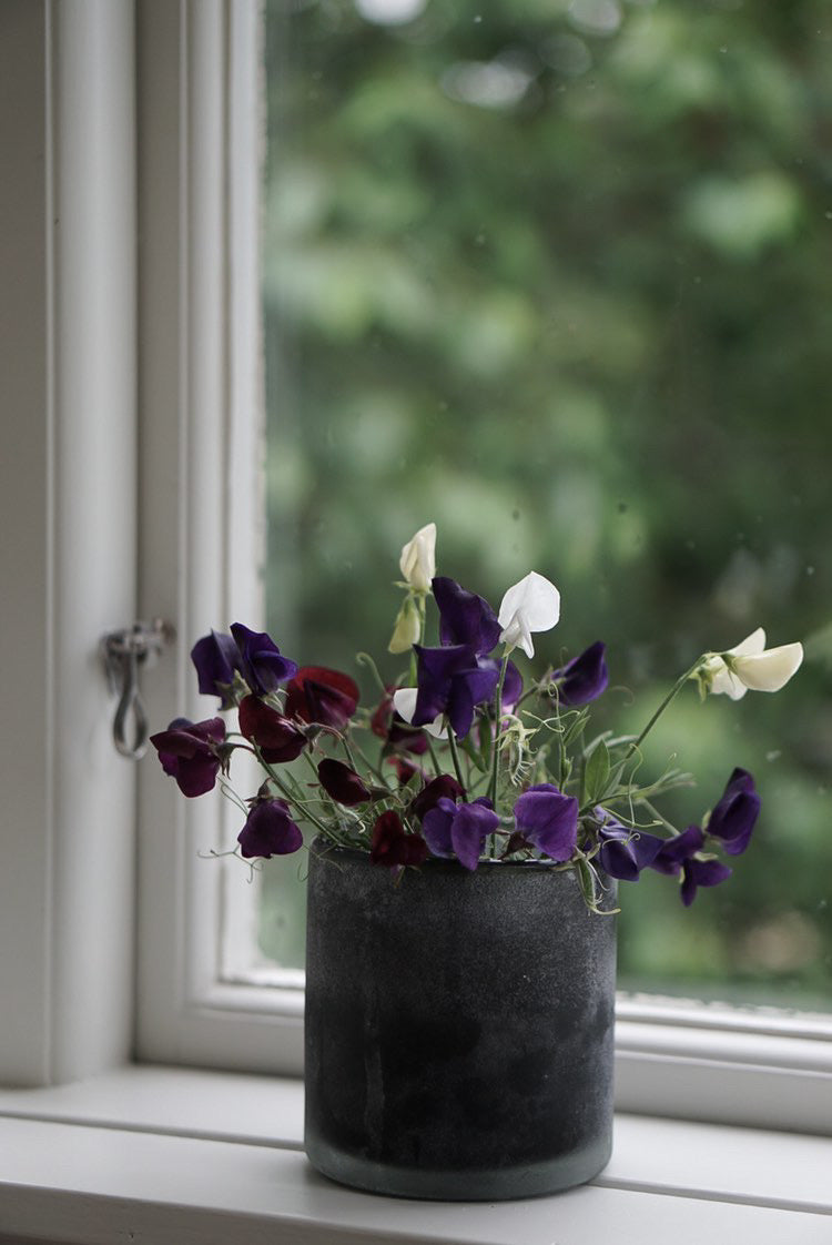 Sweet Peas - Bouquet Mix