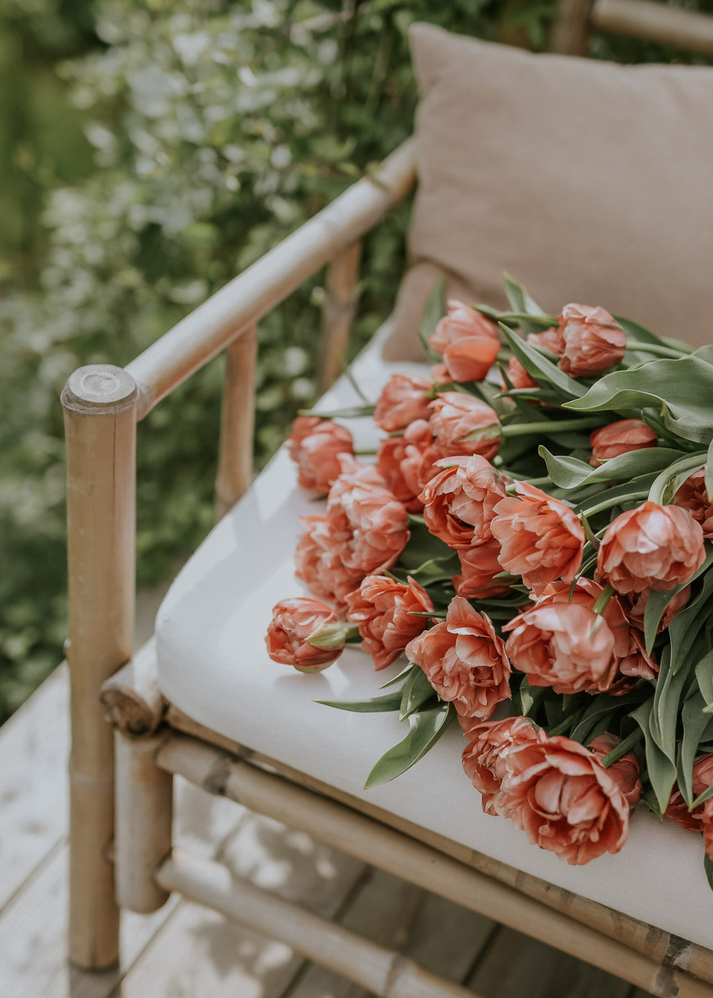 Tulip - Copper Image