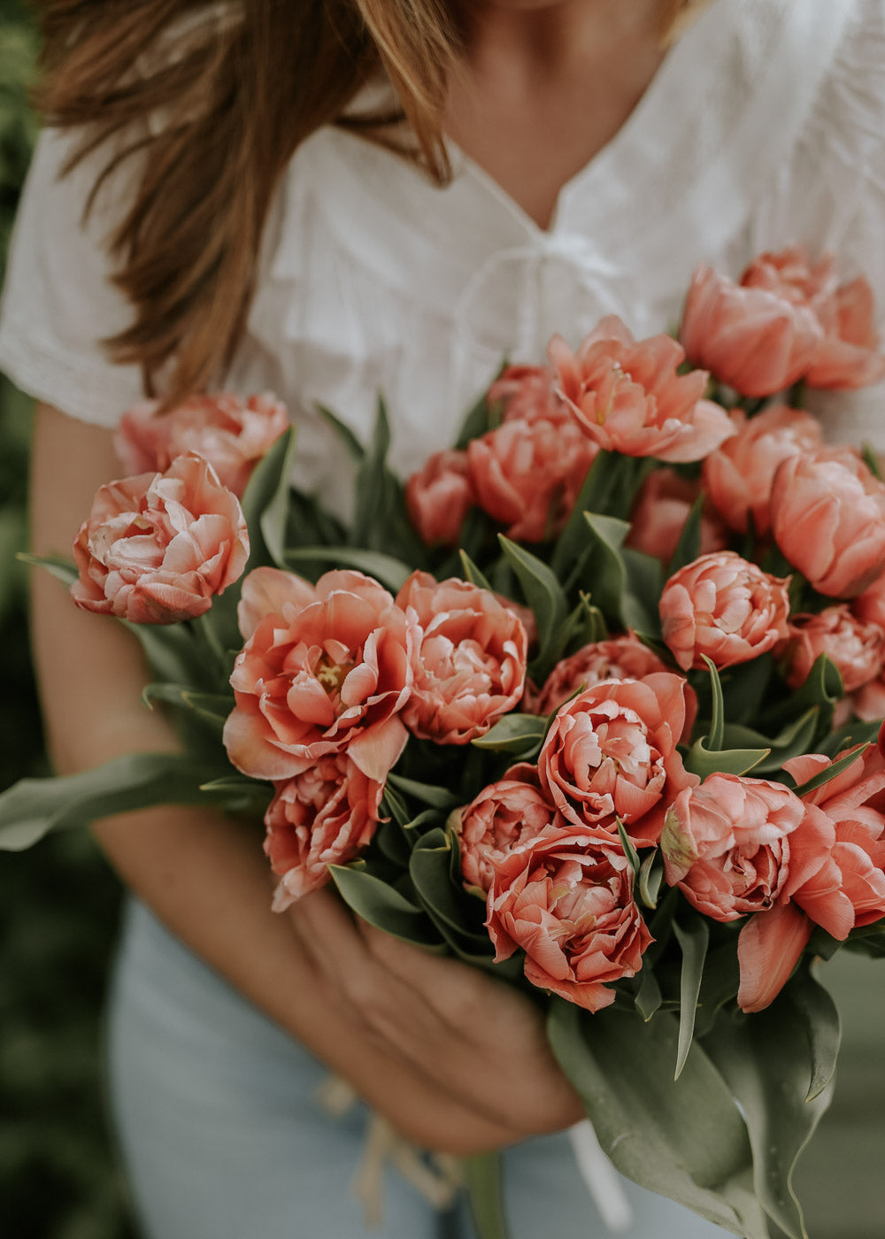 Tulip - Copper Image
