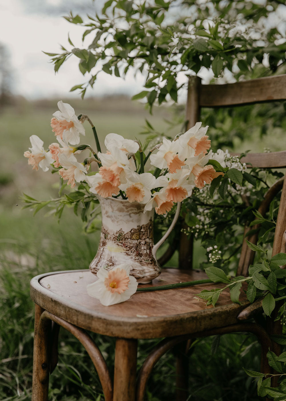 Narciss - British Gamble