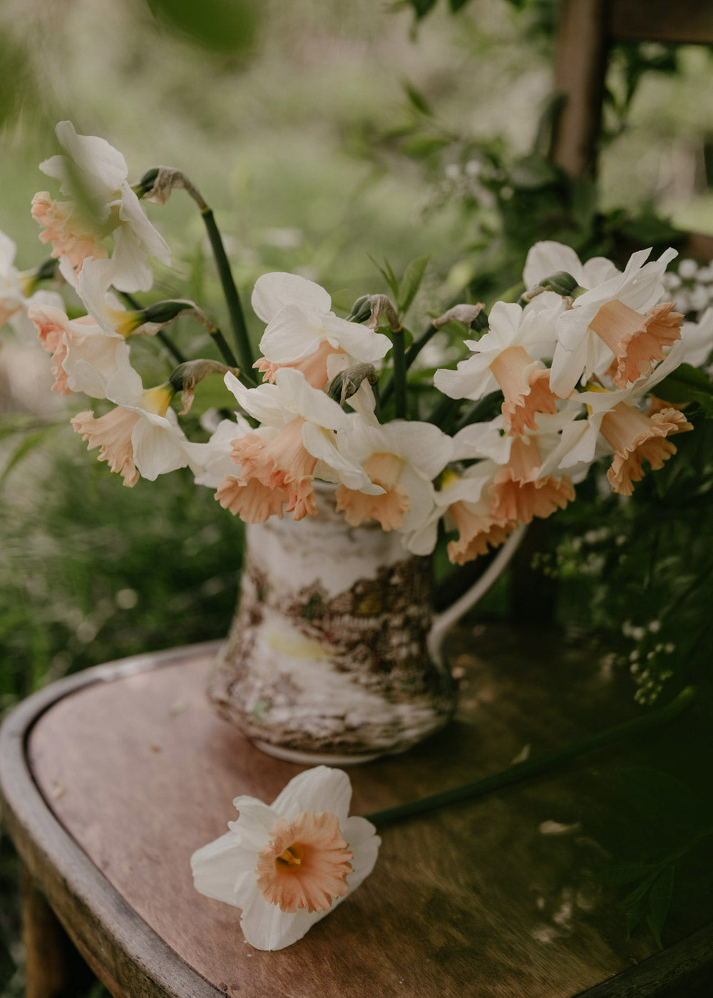 Narciss - British Gamble