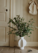 Eucalyptus - Boxwood