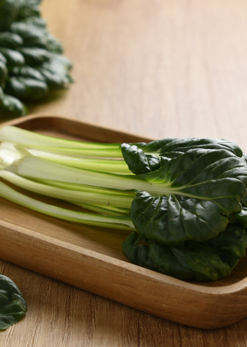 Tatsoi - Japanese Greens