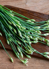 Kinesisk Purløg - Garlic Chives EKO