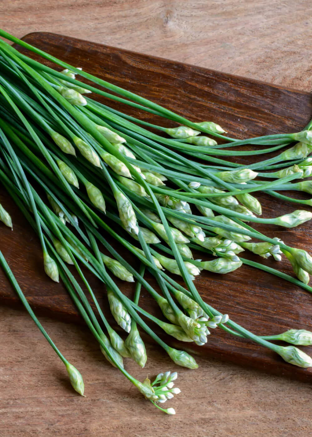 Kinesisk Gräslök - Garlic Chives EKO