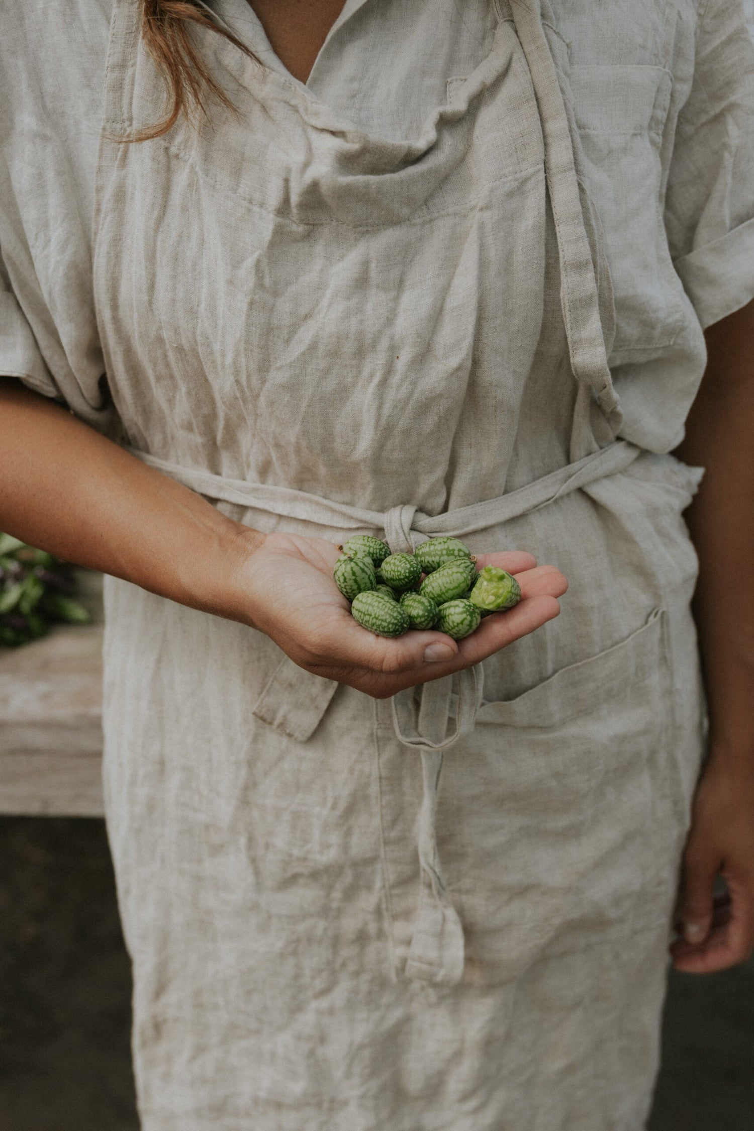 Cucamelon - Mouse Melon