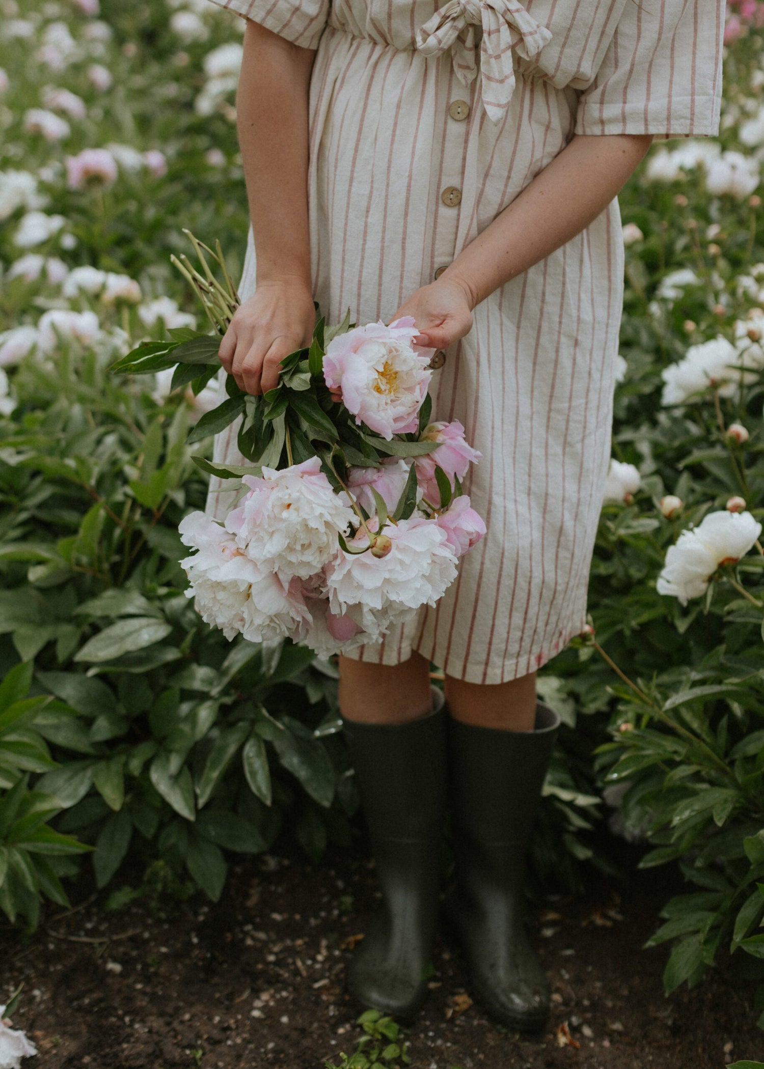 Pion - Catharina Fontijn