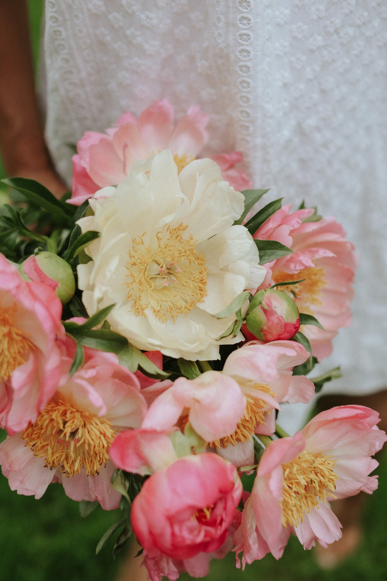 Pivoine - Coral Charm