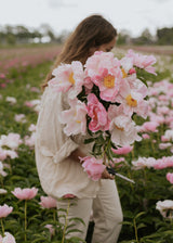 Peony - Sea Shell