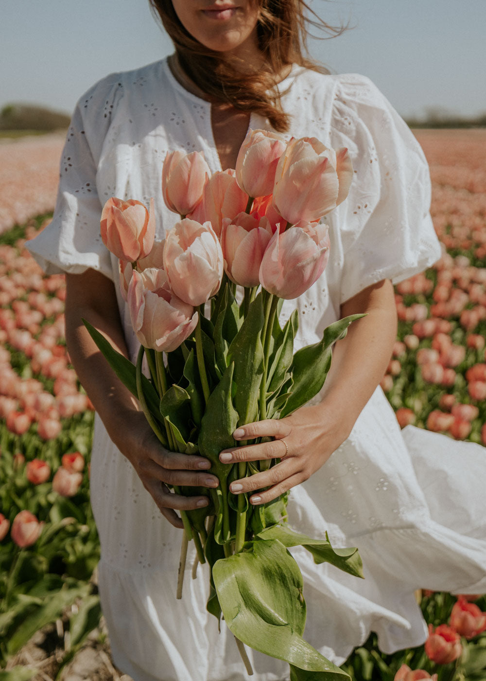 Tulpan - Salmon van Eijk