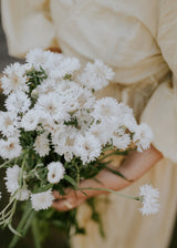 Cornflower - White Ball
