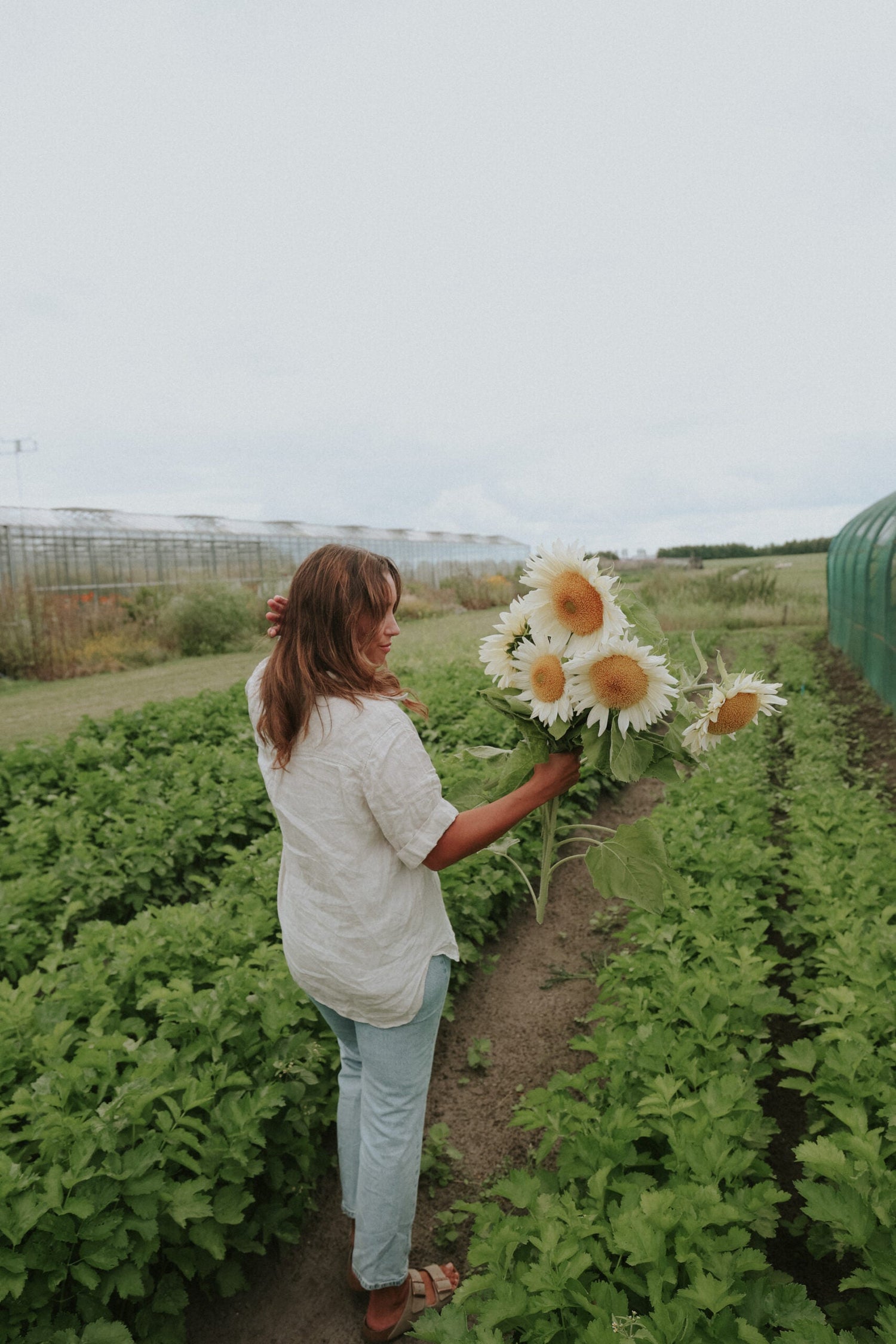 Solros - White Sun F1