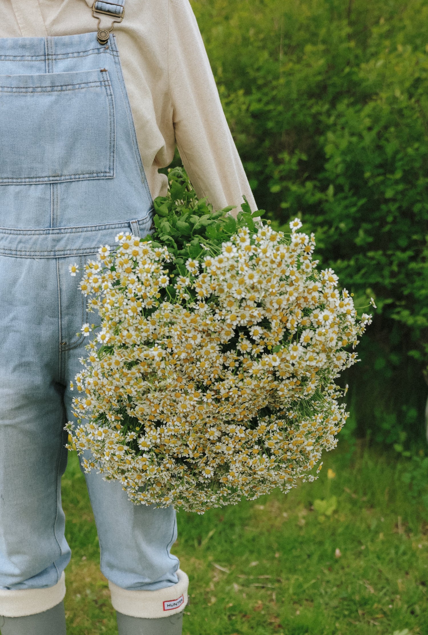 Feverfew - Vegmo Single