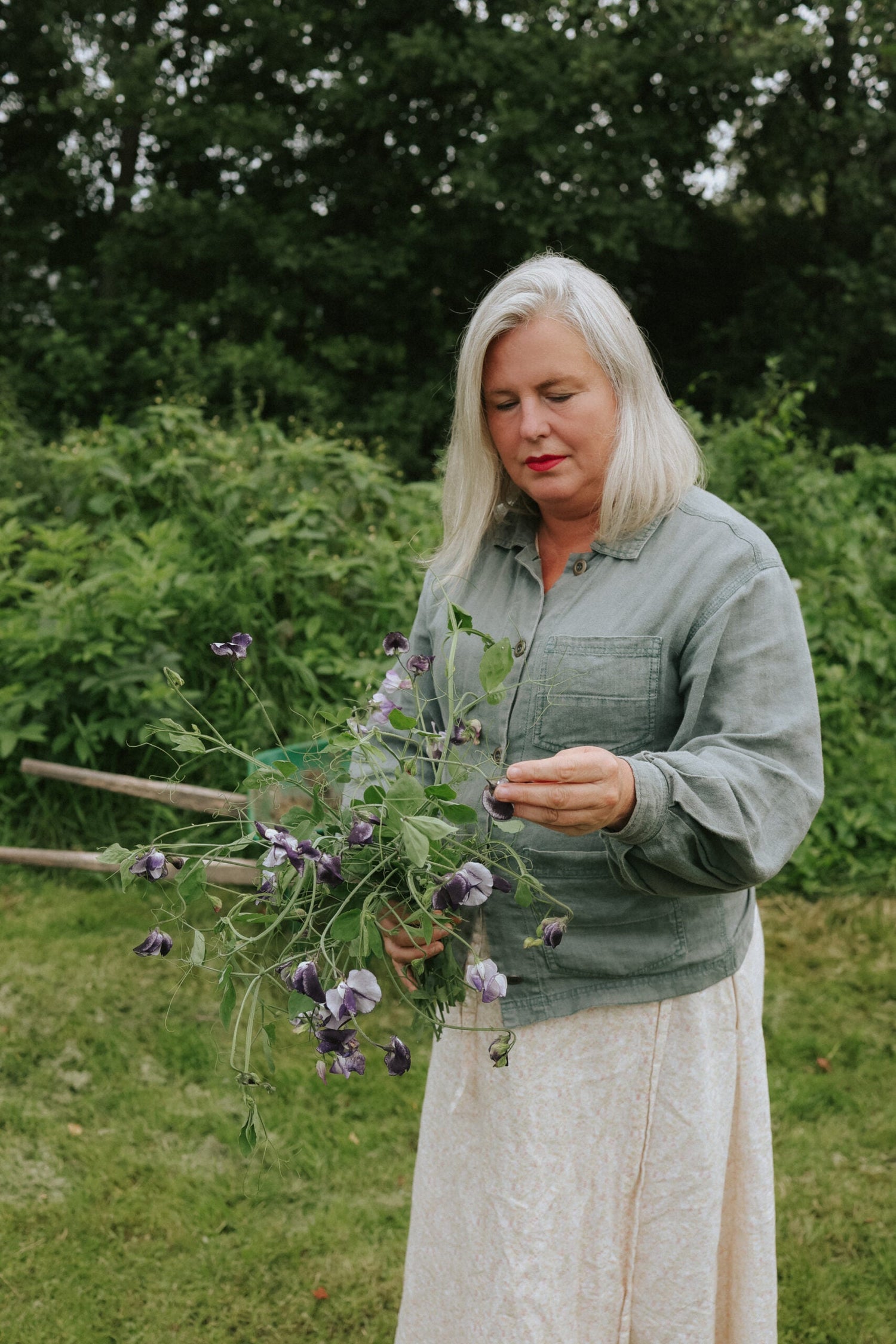Sweet Pea - Nimbus Seeds