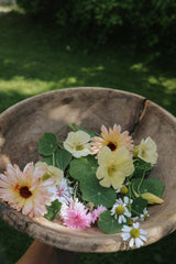 Spiseligt Blomstermix