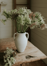 Blomstermorot - Dara