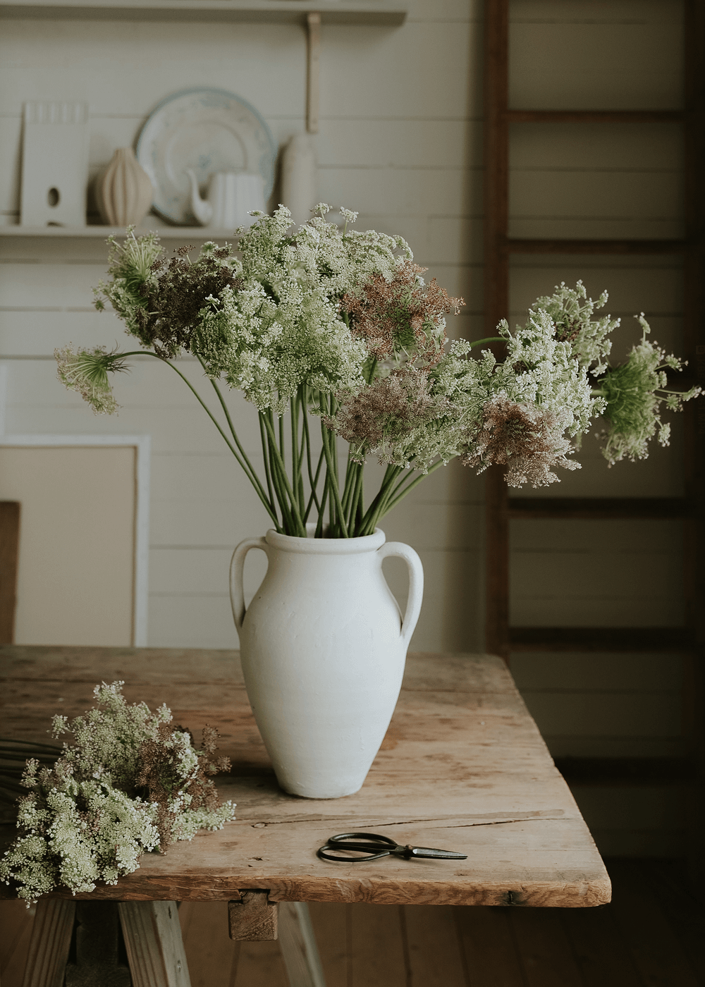 Blomstermorot - Dara