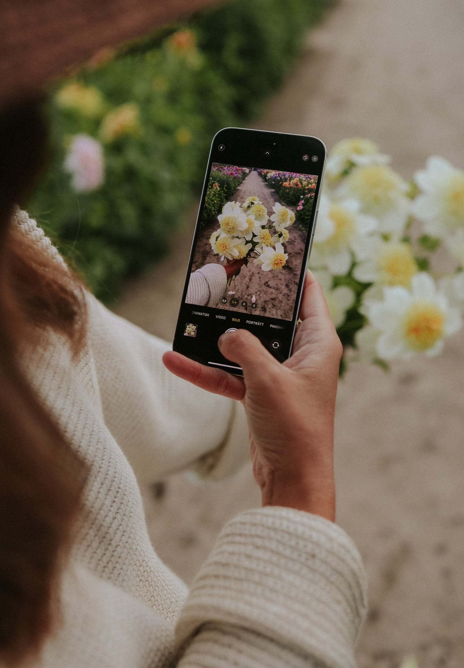 Dahlia - Platinum Blonde