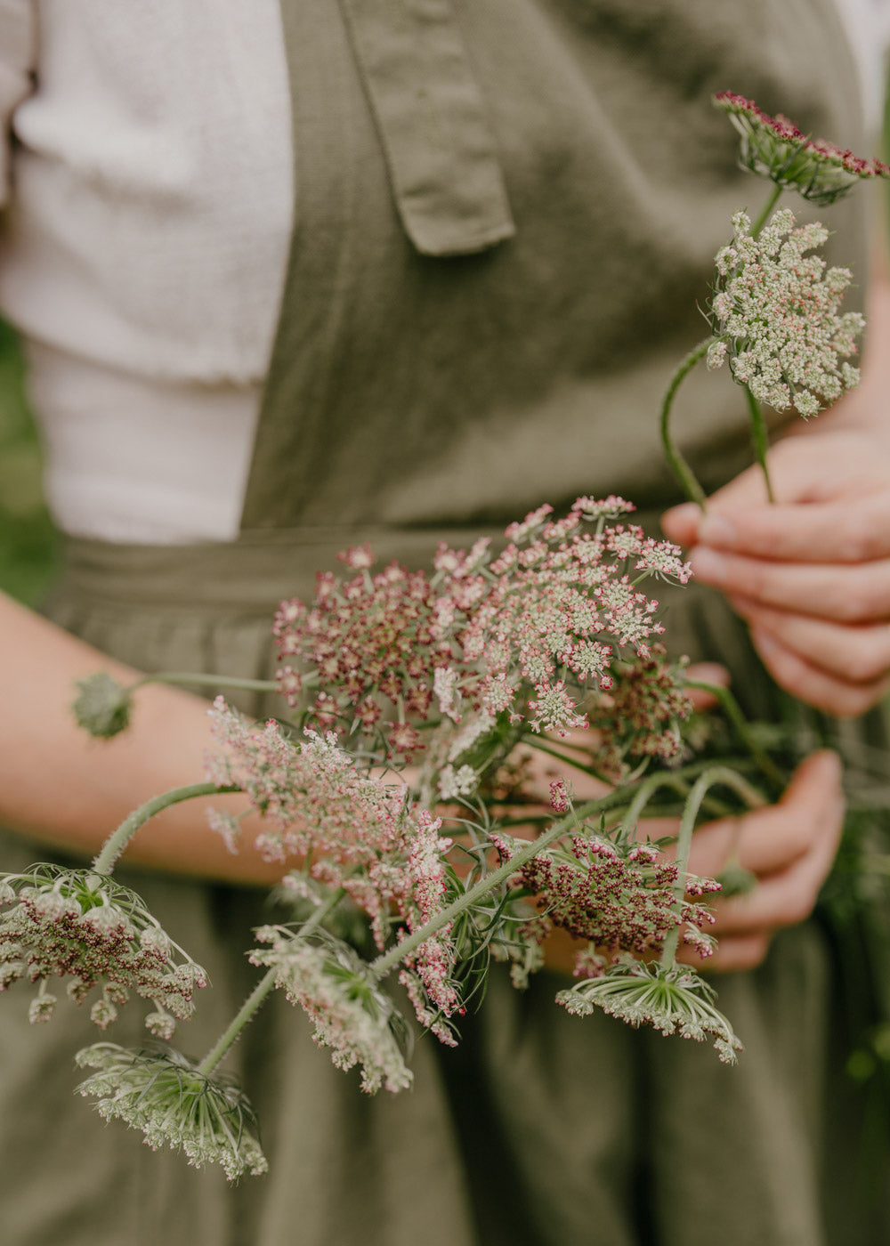 Blomstermorot - Dara