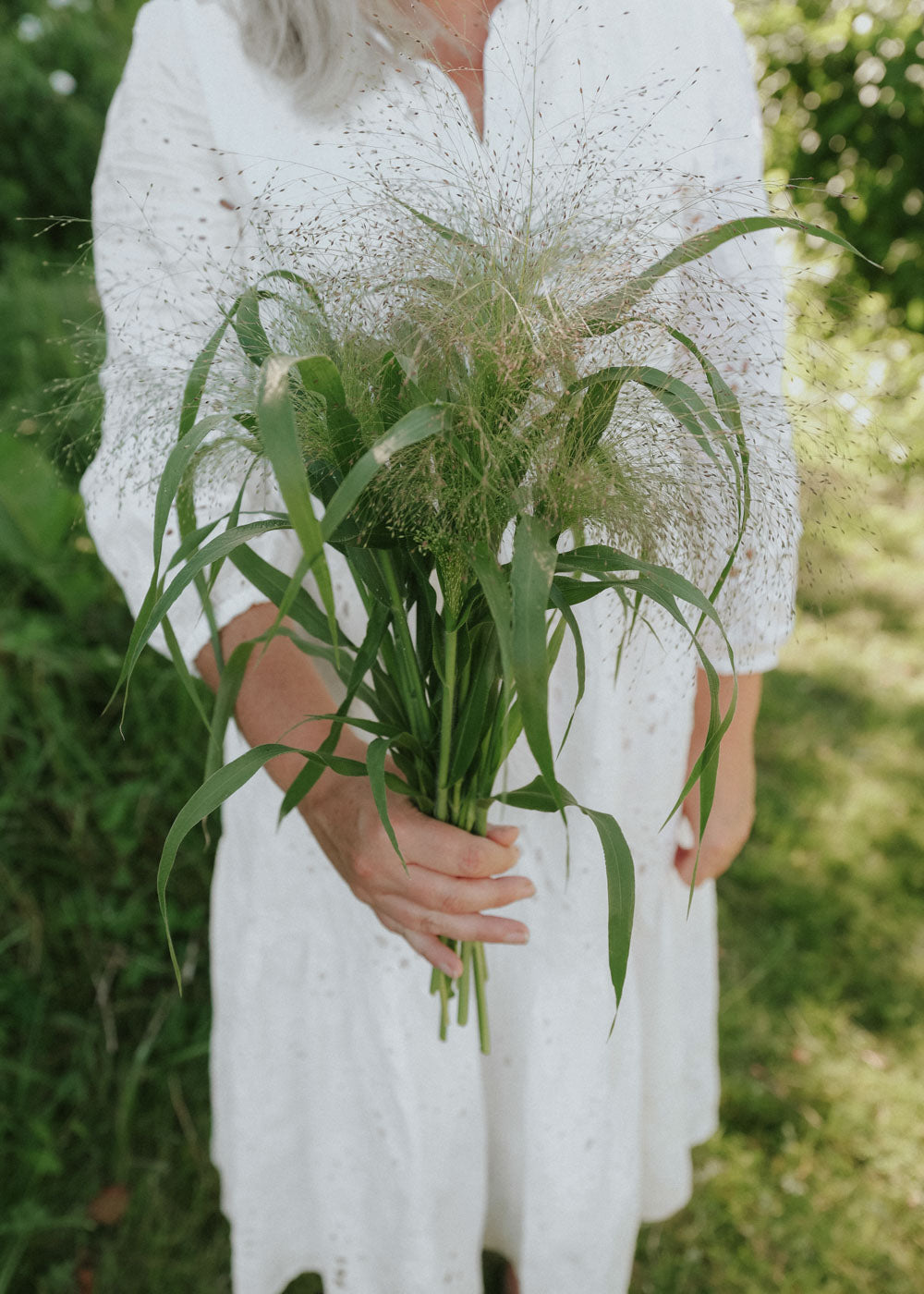 Jungfruhirs Fontaine - Frosted Explosion