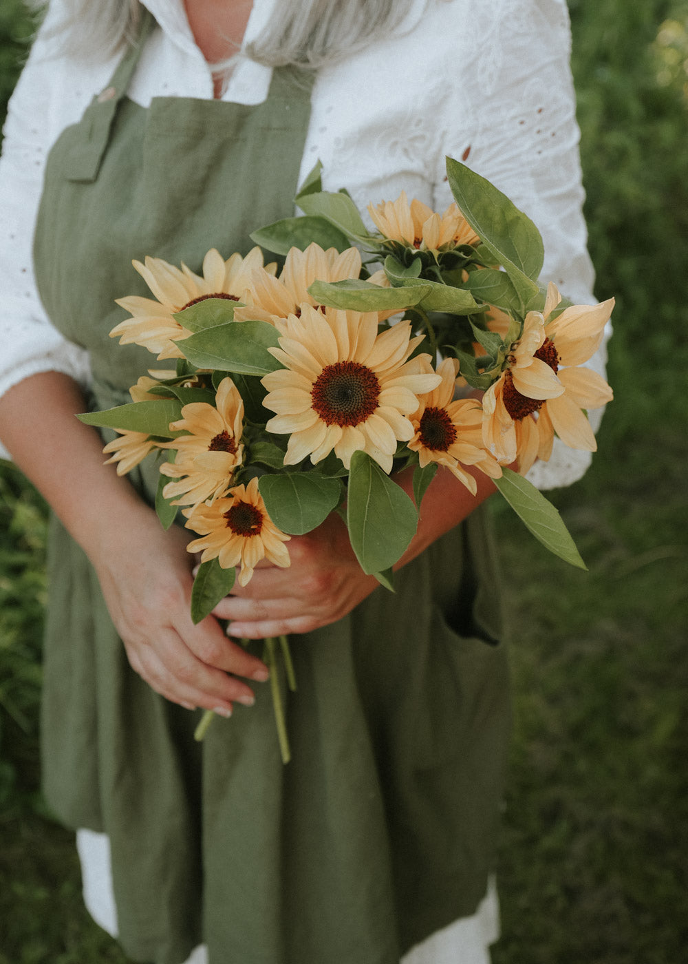 Sunflower - Pro Cut Peach F1