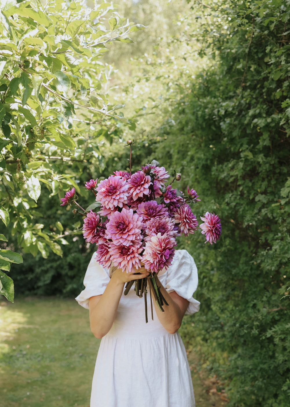 Dahlia - Molly Raven