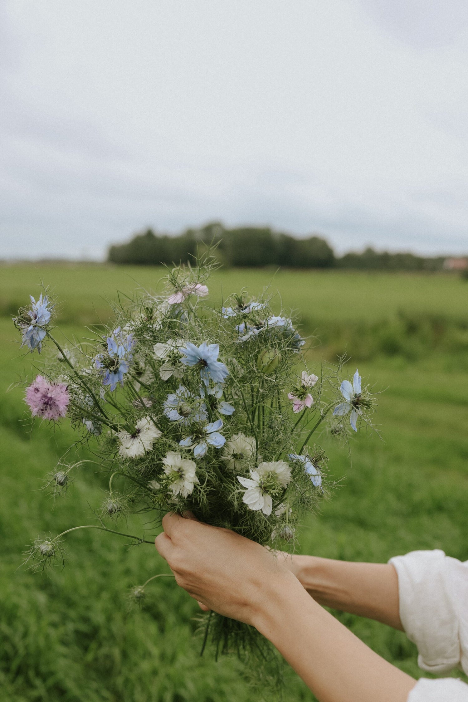 Jungfrun i det gröna - Persian Jewels