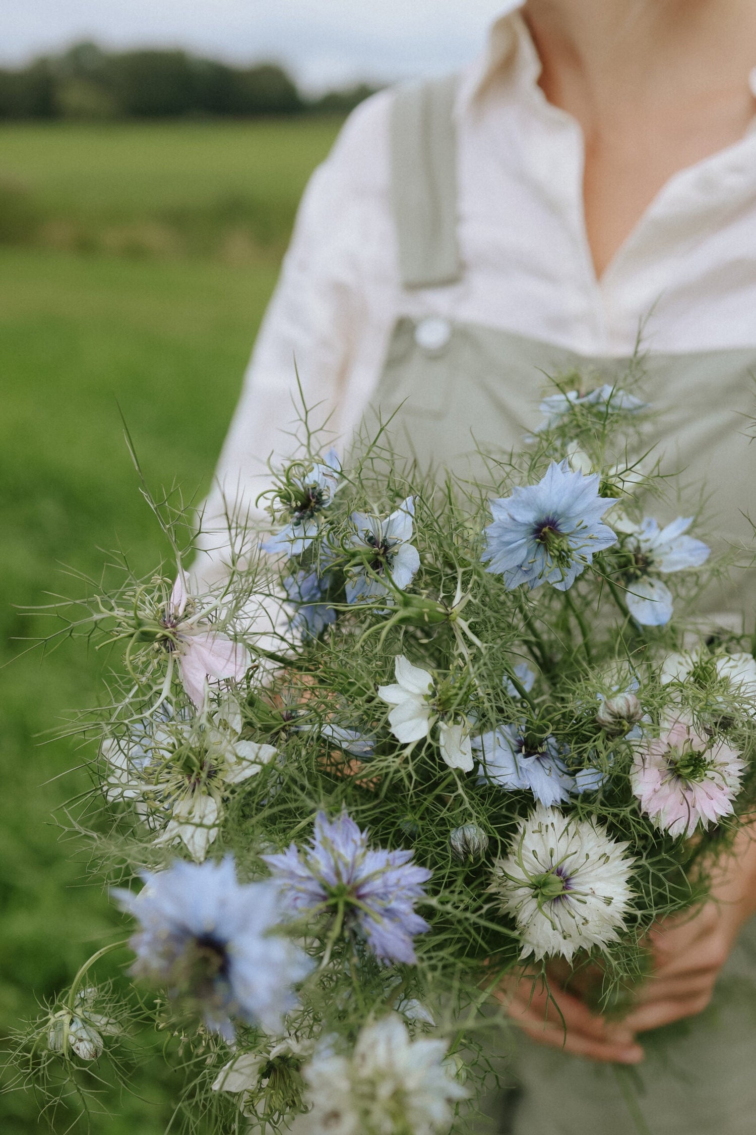 Jungfrun i det gröna - Persian Jewels