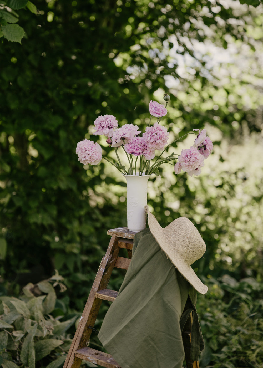 Vallmo - Bread Seed Poppy