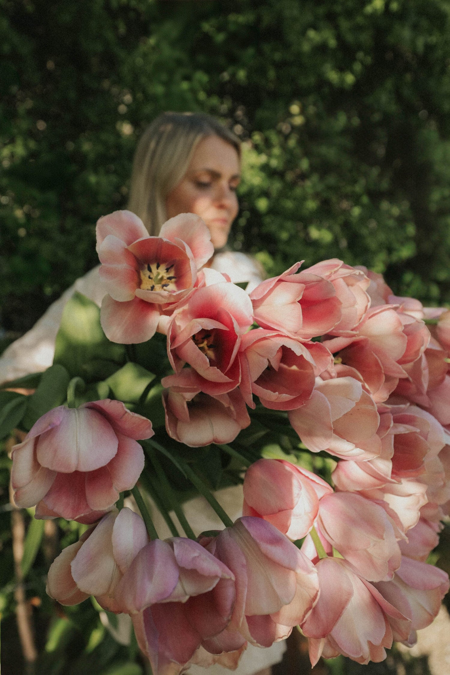 Tulpan - Mystique Van Eijk