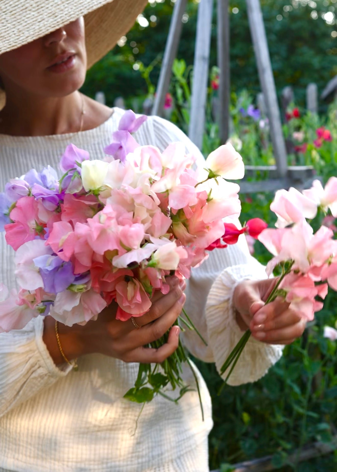 Sweet Pea - Spring Sunshine Mix
