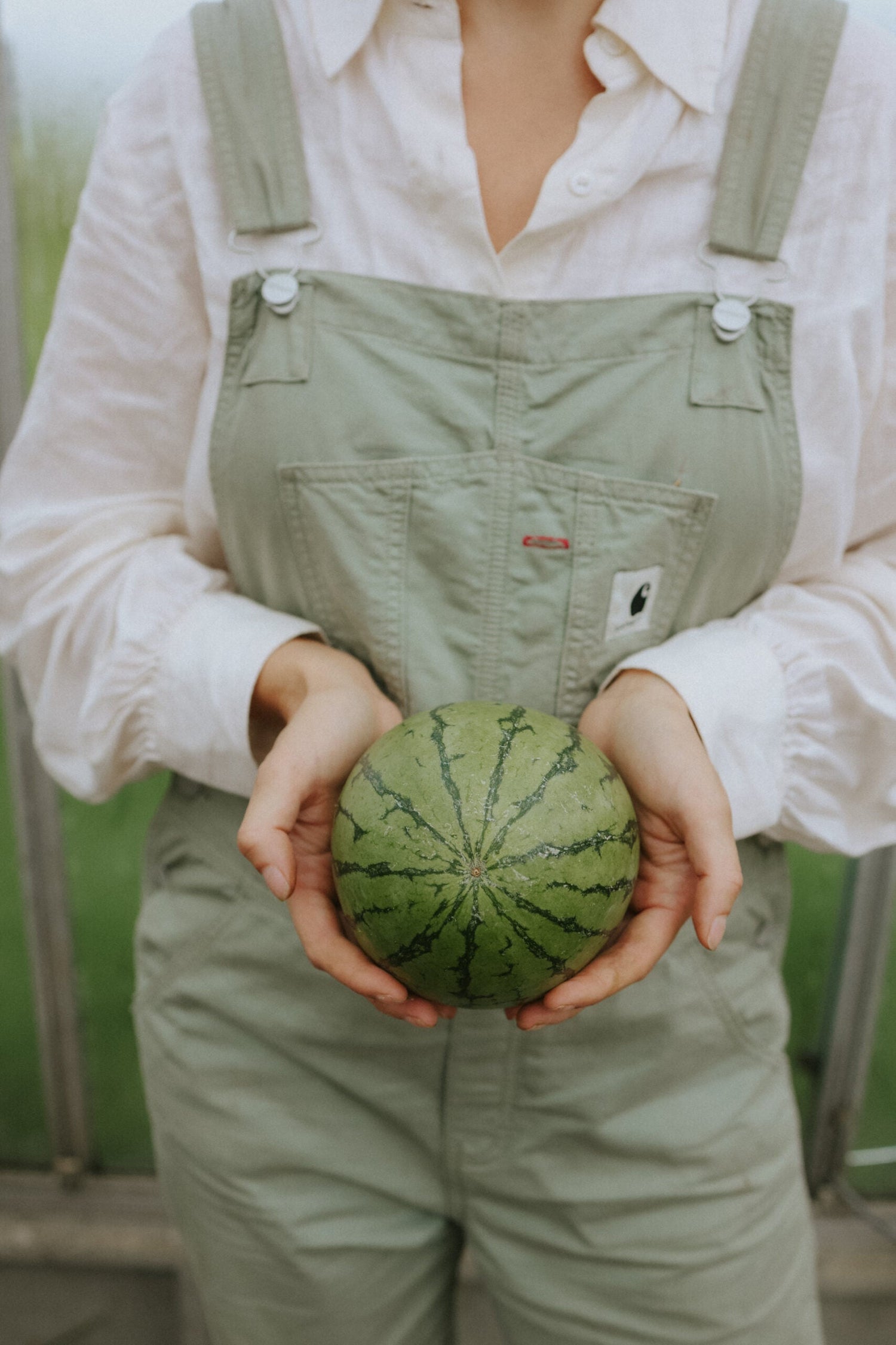 Vattenmelon - Tigrimini F1